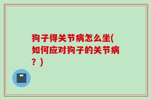 狗子得关节病怎么坐(如何应对狗子的关节病？)