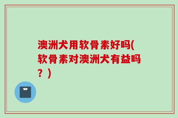 澳洲犬用软骨素好吗(软骨素对澳洲犬有益吗？)