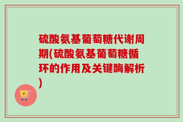 硫酸氨基葡萄糖代谢周期(硫酸氨基葡萄糖循环的作用及关键酶解析)