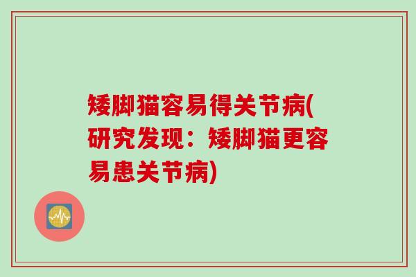 矮脚猫容易得关节病(研究发现：矮脚猫更容易患关节病)