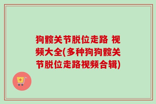 狗髋关节脱位走路 视频大全(多种狗狗髋关节脱位走路视频合辑)