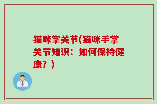 猫咪掌关节(猫咪手掌关节知识：如何保持健康？)