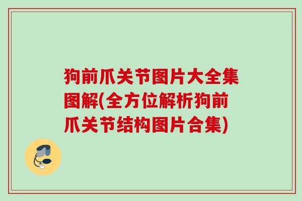 狗前爪关节图片大全集图解(全方位解析狗前爪关节结构图片合集)