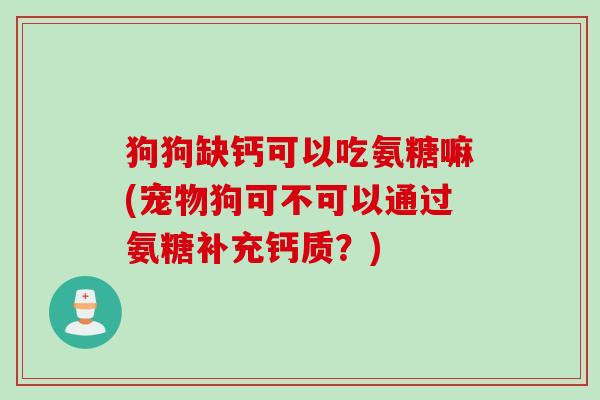 狗狗缺钙可以吃氨糖嘛(宠物狗可不可以通过氨糖补充钙质？)