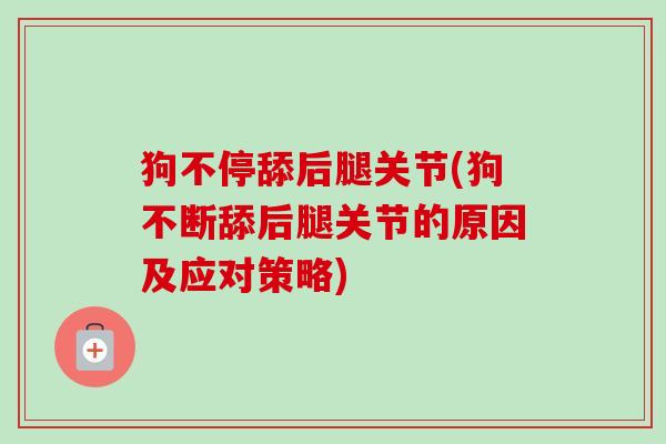 狗不停舔后腿关节(狗不断舔后腿关节的原因及应对策略)