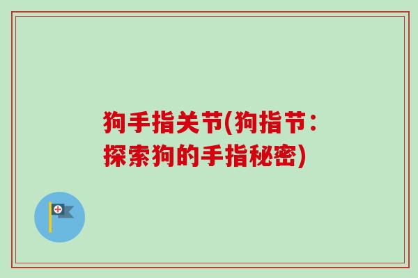 狗手指关节(狗指节：探索狗的手指秘密)