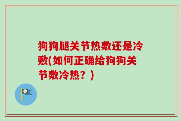 狗狗腿关节热敷还是冷敷(如何正确给狗狗关节敷冷热？)