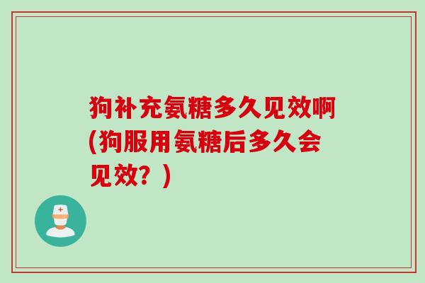 狗补充氨糖多久见效啊(狗服用氨糖后多久会见效？)