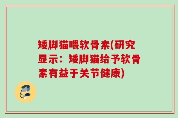 矮脚猫喂软骨素(研究显示：矮脚猫给予软骨素有益于关节健康)