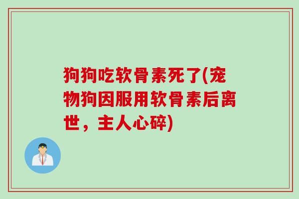 狗狗吃软骨素死了(宠物狗因服用软骨素后离世，主人心碎)