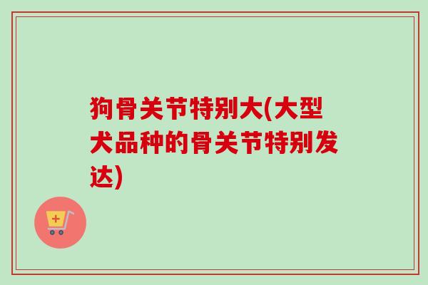 狗骨关节特别大(大型犬品种的骨关节特别发达)