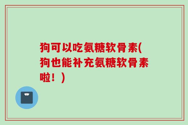 狗可以吃氨糖软骨素(狗也能补充氨糖软骨素啦！)