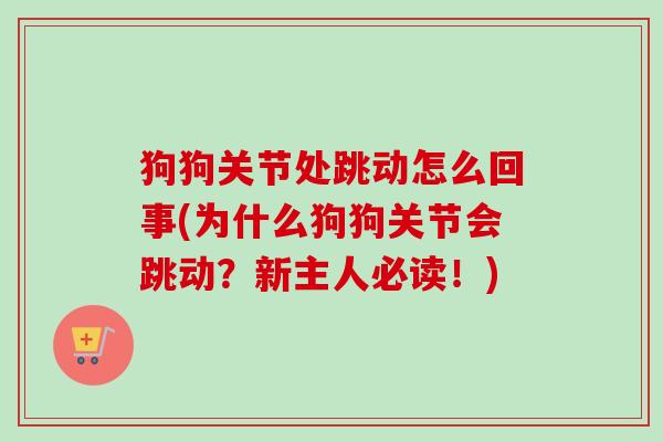 狗狗关节处跳动怎么回事(为什么狗狗关节会跳动？新主人必读！)