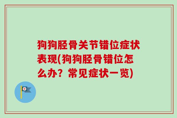 狗狗胫骨关节错位症状表现(狗狗胫骨错位怎么办？常见症状一览)