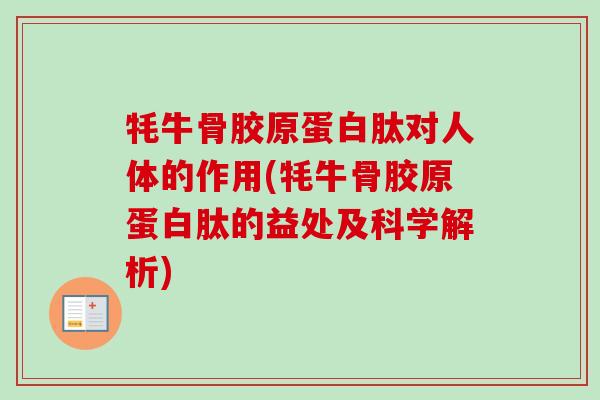 牦牛骨胶原蛋白肽对人体的作用(牦牛骨胶原蛋白肽的益处及科学解析)