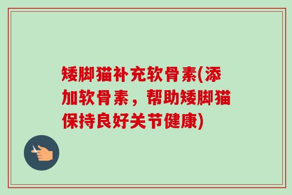 矮脚猫补充软骨素(添加软骨素，帮助矮脚猫保持良好关节健康)