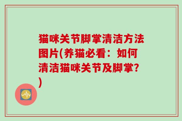 猫咪关节脚掌清洁方法图片(养猫必看：如何清洁猫咪关节及脚掌？)