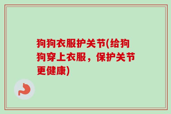 狗狗衣服护关节(给狗狗穿上衣服，保护关节更健康)