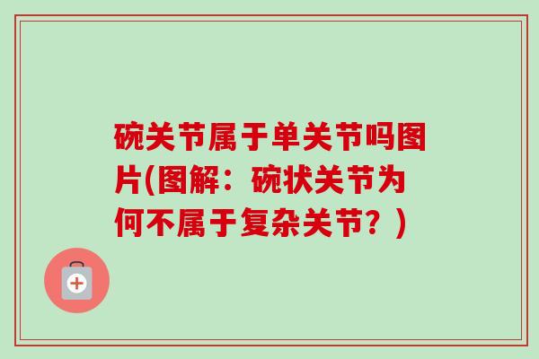 碗关节属于单关节吗图片(图解：碗状关节为何不属于复杂关节？)