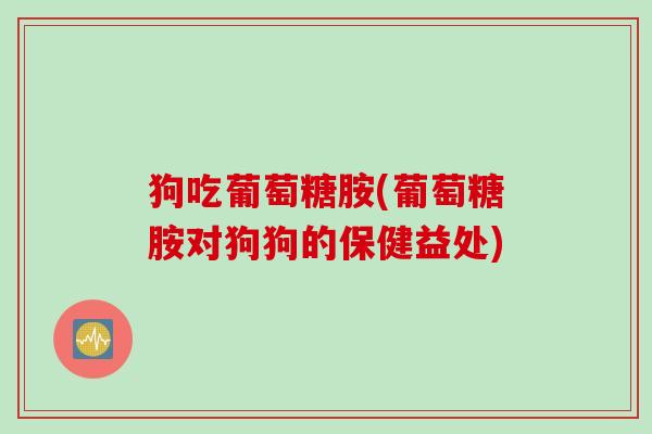 狗吃葡萄糖胺(葡萄糖胺对狗狗的保健益处)