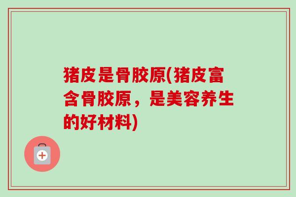 猪皮是骨胶原(猪皮富含骨胶原，是美容养生的好材料)