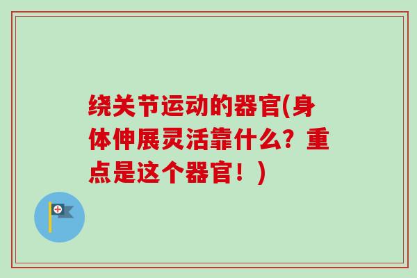 绕关节运动的器官(身体伸展灵活靠什么？重点是这个器官！)