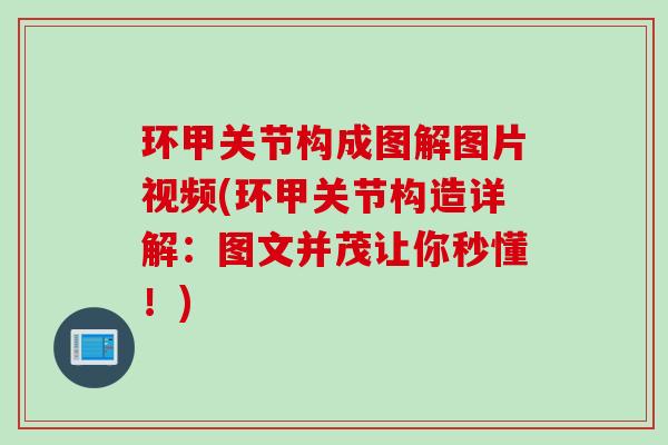 环甲关节构成图解图片视频(环甲关节构造详解：图文并茂让你秒懂！)