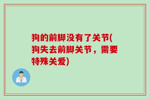 狗的前脚没有了关节(狗失去前脚关节，需要特殊关爱)