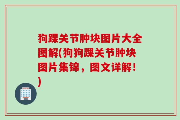 狗踝关节肿块图片大全图解(狗狗踝关节肿块图片集锦，图文详解！)