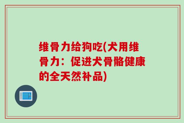 维骨力给狗吃(犬用维骨力：促进犬骨骼健康的全天然补品)