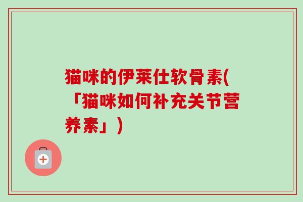 猫咪的伊莱仕软骨素(「猫咪如何补充关节营养素」)