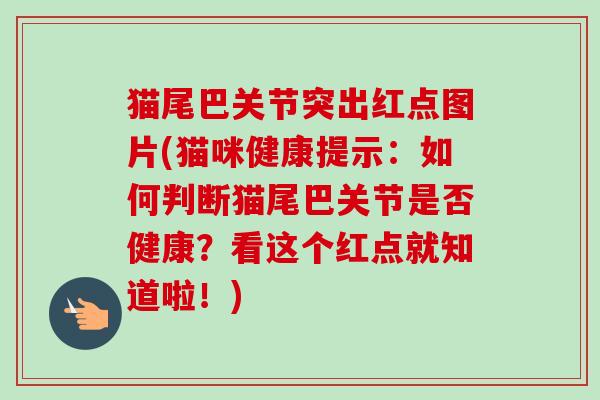 猫尾巴关节突出红点图片(猫咪健康提示：如何判断猫尾巴关节是否健康？看这个红点就知道啦！)