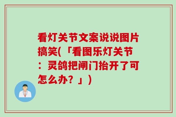 看灯关节文案说说图片搞笑(「看图乐灯关节：灵鸽把闸门抬开了可怎么办？」)