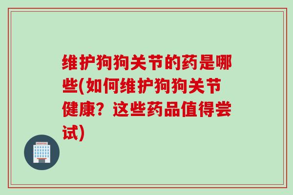 维护狗狗关节的药是哪些(如何维护狗狗关节健康？这些药品值得尝试)