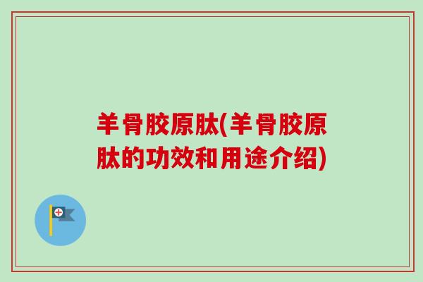 羊骨胶原肽(羊骨胶原肽的功效和用途介绍)