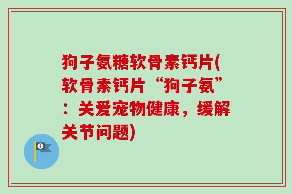 狗子氨糖软骨素钙片(软骨素钙片“狗子氨”：关爱宠物健康，缓解关节问题)