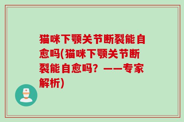 猫咪下颚关节断裂能自愈吗(猫咪下颚关节断裂能自愈吗？——专家解析)