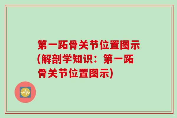 第一跖骨关节位置图示(解剖学知识：第一跖骨关节位置图示)