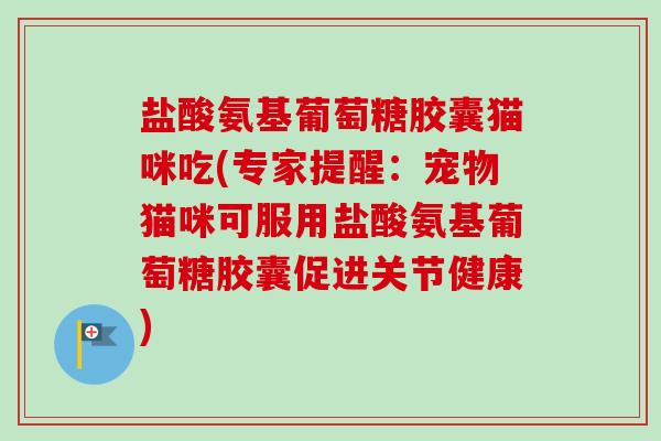 盐酸氨基葡萄糖胶囊猫咪吃(专家提醒：宠物猫咪可服用盐酸氨基葡萄糖胶囊促进关节健康)