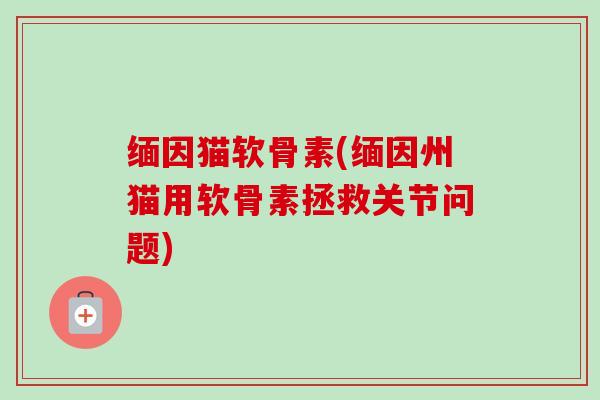 缅因猫软骨素(缅因州猫用软骨素拯救关节问题) 缅因猫软骨素(缅因州猫用软骨素拯救关节问题)