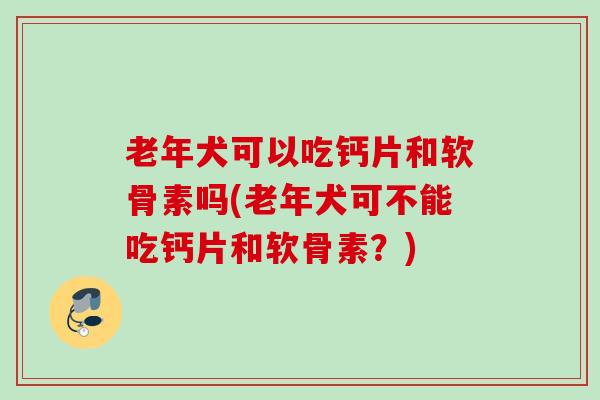 老年犬可以吃钙片和软骨素吗(老年犬可不能吃钙片和软骨素？)