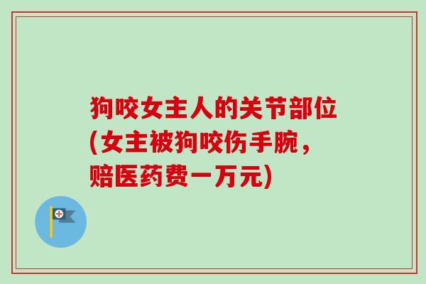 狗咬女主人的关节部位(女主被狗咬伤手腕，赔医药费一万元)