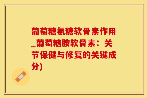葡萄糖氨糖软骨素作用_葡萄糖胺软骨素：关节保健与修复的关键成分)