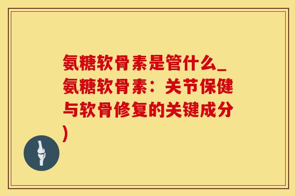 氨糖软骨素是管什么_氨糖软骨素：关节保健与软骨修复的关键成分)