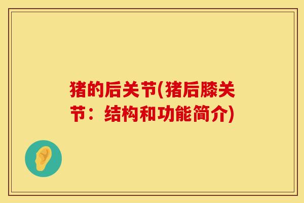 猪的后关节(猪后膝关节：结构和功能简介)