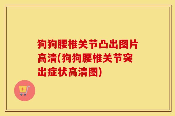 狗狗腰椎关节凸出图片高清(狗狗腰椎关节突出症状高清图)