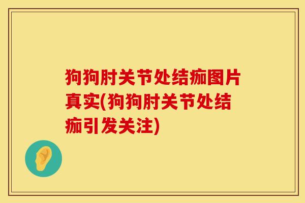 狗狗肘关节处结痂图片真实(狗狗肘关节处结痂引发关注)
