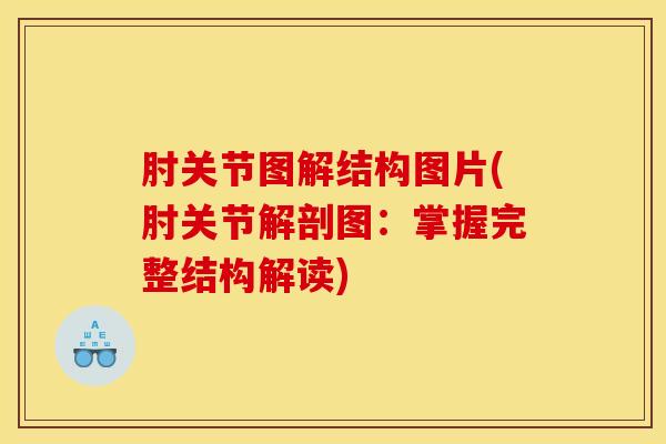 肘关节图解结构图片(肘关节解剖图：掌握完整结构解读)
