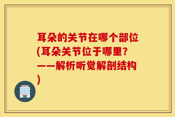 耳朵的关节在哪个部位(耳朵关节位于哪里？——解析听觉解剖结构)