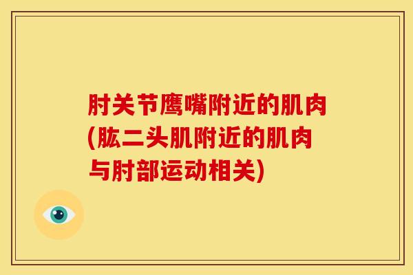 肘关节鹰嘴附近的肌肉(肱二头肌附近的肌肉与肘部运动相关)